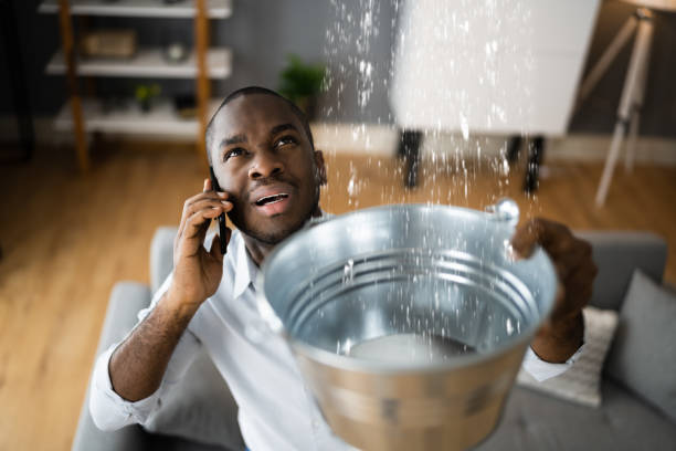 Best Emergency water extraction  in Florence, MS