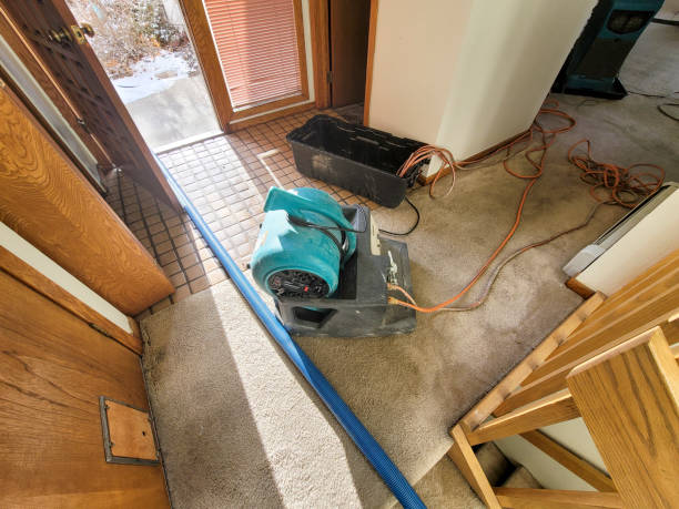 Best Water damage restoration near me  in Florence, MS