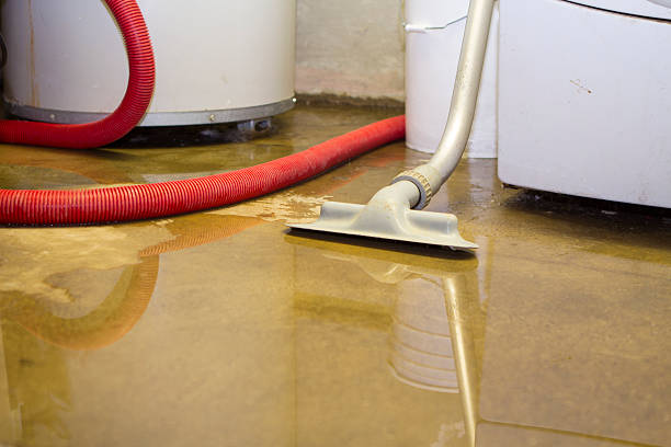 Best 24-hour water damage restoration  in Florence, MS