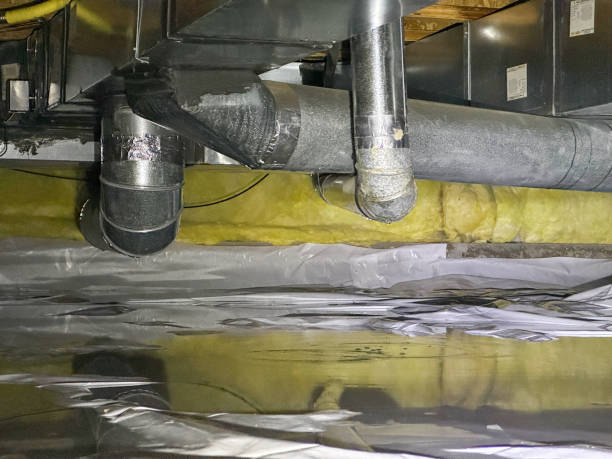  Florence, MS Water damage restoration Pros