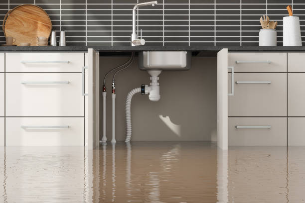 Best Professional water damage repair  in Florence, MS